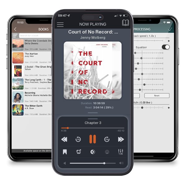 Download fo free audiobook Court of No Record: Poems by Jenny Molberg and listen anywhere on your iOS devices in the ListenBook app.