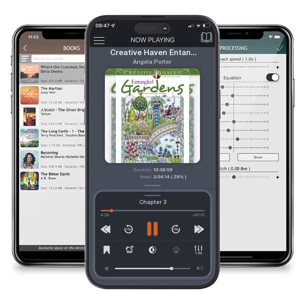 Download fo free audiobook Creative Haven Entangled Gardens Coloring Book by Angela Porter and listen anywhere on your iOS devices in the ListenBook app.