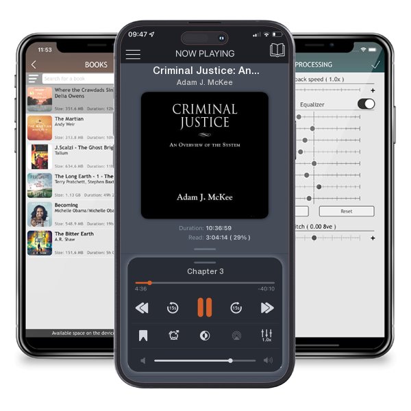 Download fo free audiobook Criminal Justice: An Overview of the System by Adam J. McKee and listen anywhere on your iOS devices in the ListenBook app.