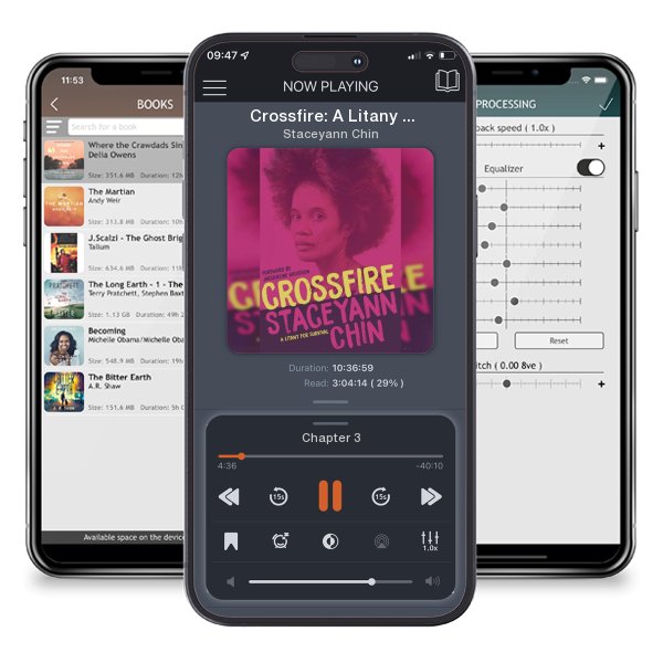Download fo free audiobook Crossfire: A Litany for Survival by Staceyann Chin and listen anywhere on your iOS devices in the ListenBook app.