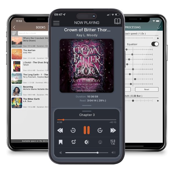 Download fo free audiobook Crown of Bitter Thorn by Kay L. Moody and listen anywhere on your iOS devices in the ListenBook app.
