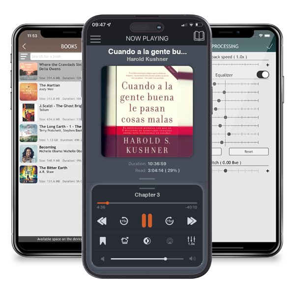 Descargar audiolibro gratis Cuando a la gente buena le pasan cosas malas / When Bad Things Happen to Good Pe ople by Harold Kushner y escuchar en cualquier lugar en sus dispositivos iOS en la aplicación ListenBook.