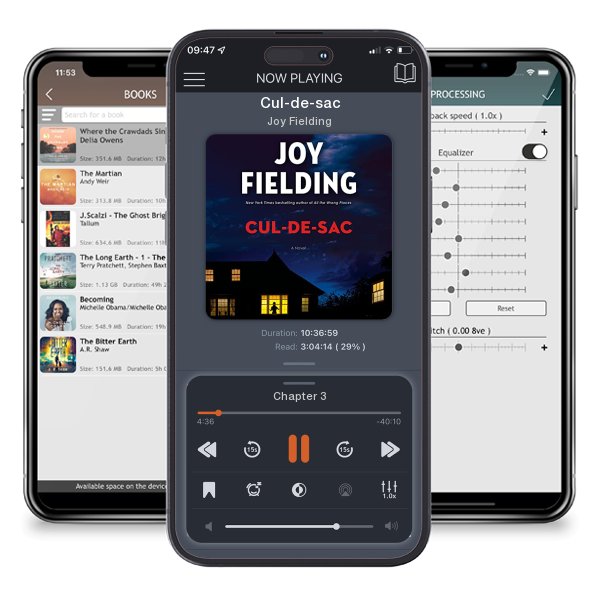 Download fo free audiobook Cul-de-sac by Joy Fielding and listen anywhere on your iOS devices in the ListenBook app.