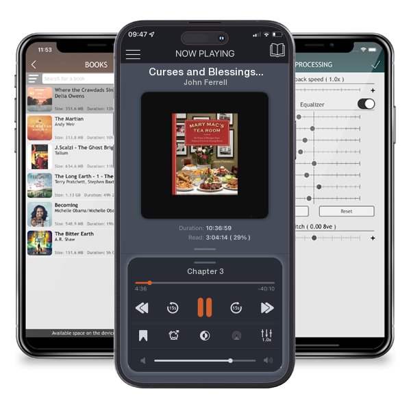 Download fo free audiobook Curses and Blessings for All Occasions by John Ferrell and listen anywhere on your iOS devices in the ListenBook app.