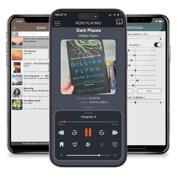 Download fo free audiobook Dark Places by Gillian Flynn and listen anywhere on your iOS devices in the ListenBook app.