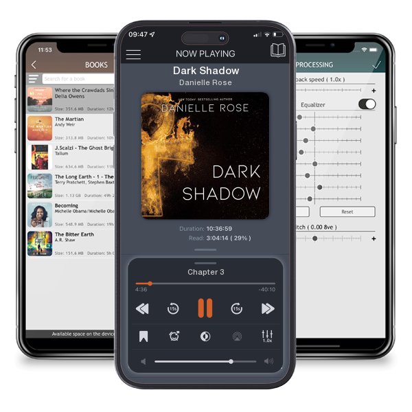 Download fo free audiobook Dark Shadow by Danielle Rose and listen anywhere on your iOS devices in the ListenBook app.