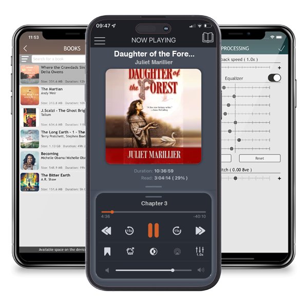 Download fo free audiobook Daughter of the Forest (Sevenwaters, #1) by Juliet Marillier and listen anywhere on your iOS devices in the ListenBook app.