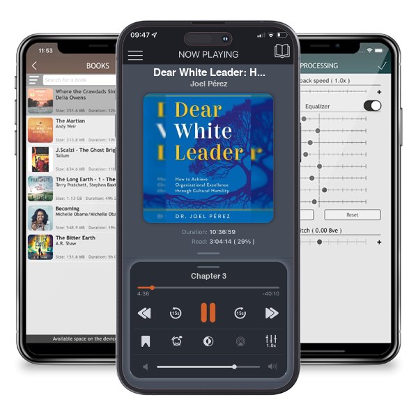 Download fo free audiobook Dear White Leader: How to Achieve Organizational Excellence... by Joel Pérez and listen anywhere on your iOS devices in the ListenBook app.