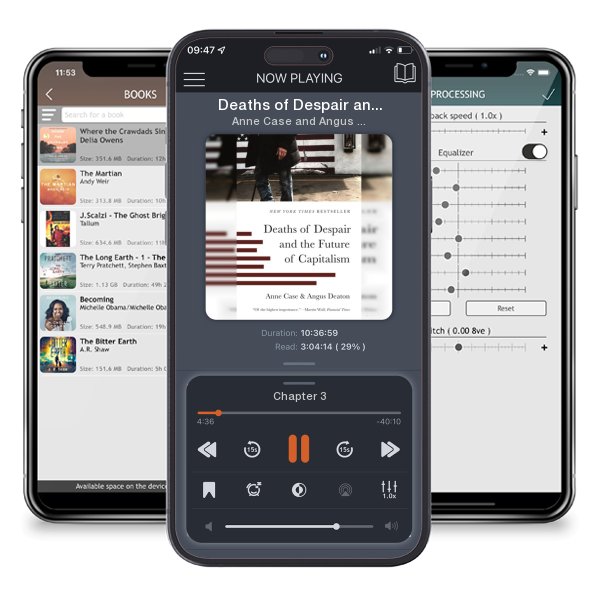 Download fo free audiobook Deaths of Despair and the Future of Capitalism by Anne Case and Angus Deaton and listen anywhere on your iOS devices in the ListenBook app.