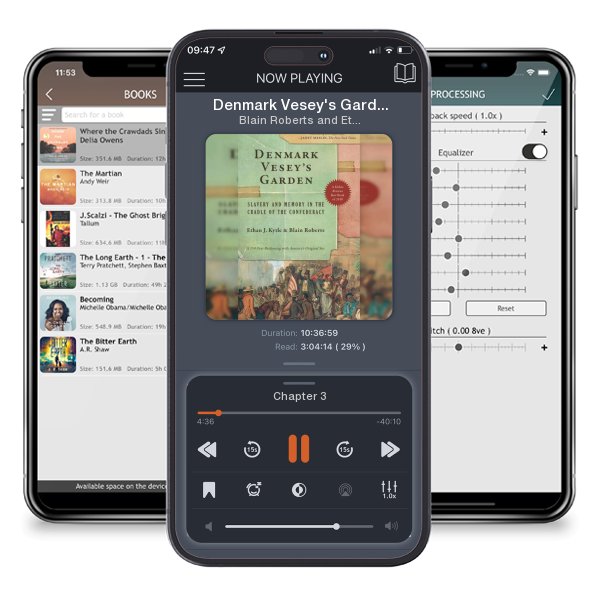 Download fo free audiobook Denmark Vesey's Garden: Slavery and Memory in the Cradle of... by Blain Roberts and Ethan J. Kytle and listen anywhere on your iOS devices in the ListenBook app.