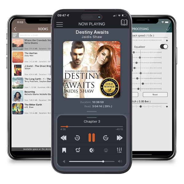 Download fo free audiobook Destiny Awaits by Jaidis Shaw and listen anywhere on your iOS devices in the ListenBook app.