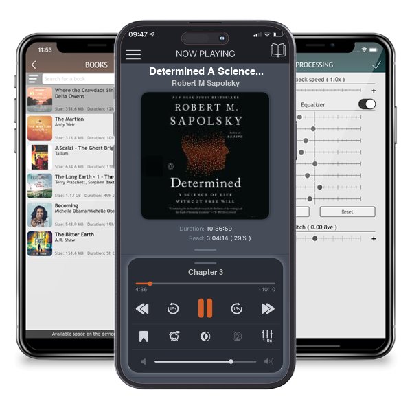 Download fo free audiobook Determined A Science of Life Without Free Will by Robert M Sapolsky and listen anywhere on your iOS devices in the ListenBook app.