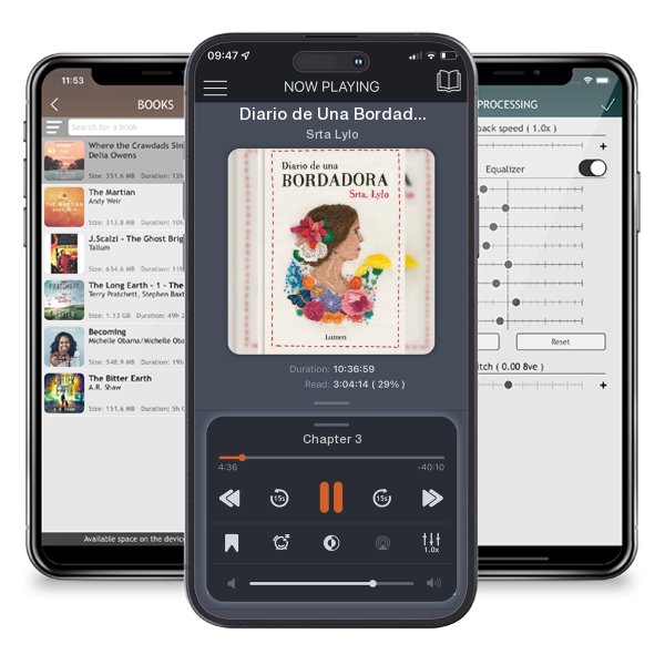 Download fo free audiobook Diario de Una Bordadora / Diary of an Embroideress by Srta Lylo and listen anywhere on your iOS devices in the ListenBook app.