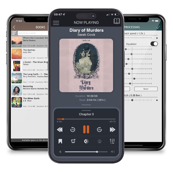 Download fo free audiobook Diary of Murders by Sarah Cook and listen anywhere on your iOS devices in the ListenBook app.
