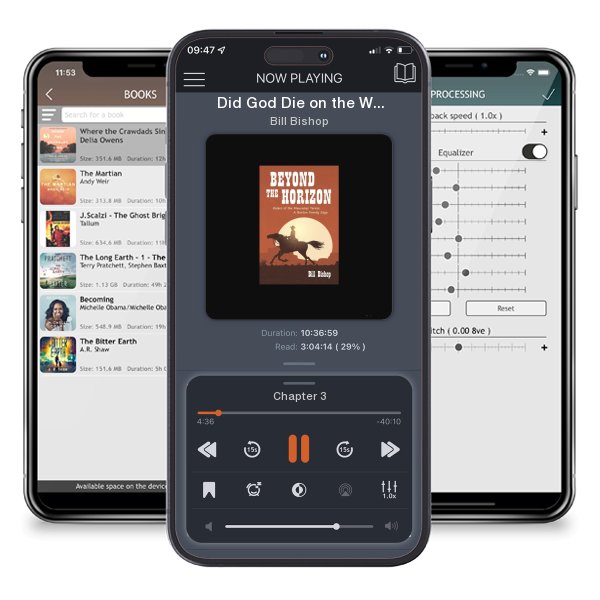 Download fo free audiobook Did God Die on the Way to Houston? A Queer Tale: A Work of Theological Fiction by Bill Bishop and listen anywhere on your iOS devices in the ListenBook app.