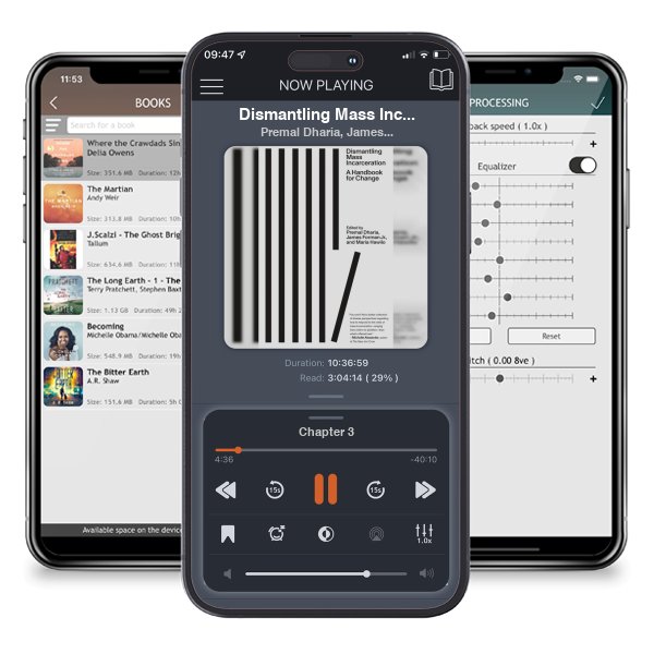 Download fo free audiobook Dismantling Mass Incarceration: A Handbook for Change by Premal Dharia, James Forman,  et al. and listen anywhere on your iOS devices in the ListenBook app.