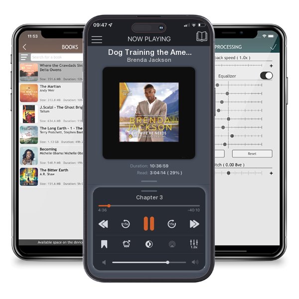 Download fo free audiobook Dog Training the American Male: A Novel by Brenda Jackson and listen anywhere on your iOS devices in the ListenBook app.