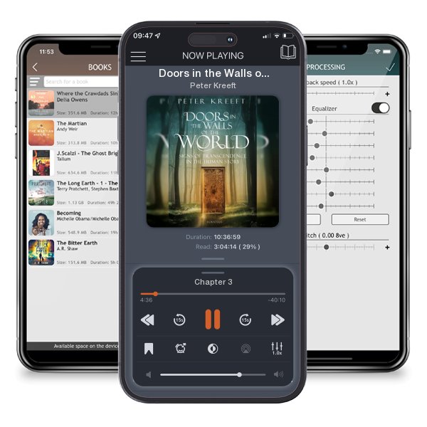 Download fo free audiobook Doors in the Walls of the World: Signs of Transcendence in the Human Story by Peter Kreeft and listen anywhere on your iOS devices in the ListenBook app.