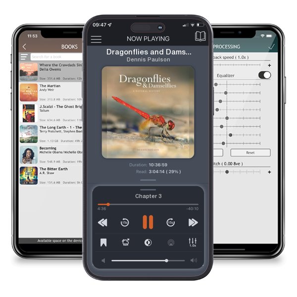 Download fo free audiobook Dragonflies and Damselflies: A Natural History by Dennis Paulson and listen anywhere on your iOS devices in the ListenBook app.