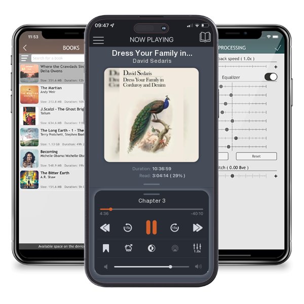 Download fo free audiobook Dress Your Family in Corduroy and Denim by David Sedaris and listen anywhere on your iOS devices in the ListenBook app.