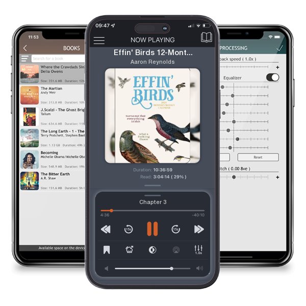 Download fo free audiobook Effin' Birds 12-Month 2024 Monthly/Weekly Planner Calendar by Aaron Reynolds and listen anywhere on your iOS devices in the ListenBook app.