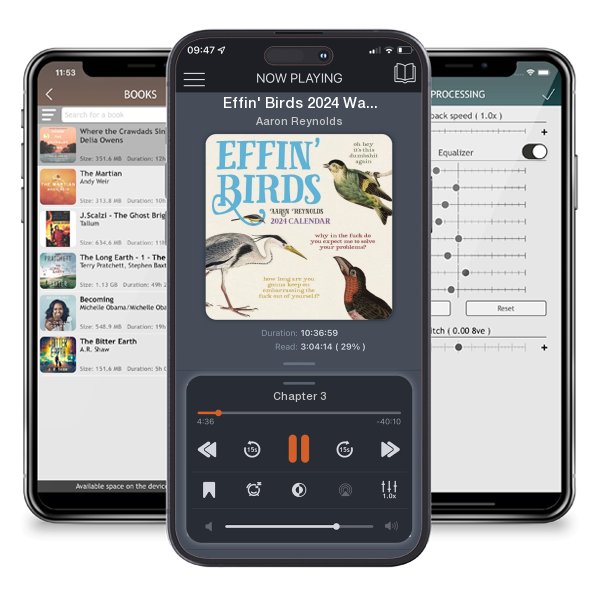 Download fo free audiobook Effin' Birds 2024 Wall Calendar by Aaron Reynolds and listen anywhere on your iOS devices in the ListenBook app.