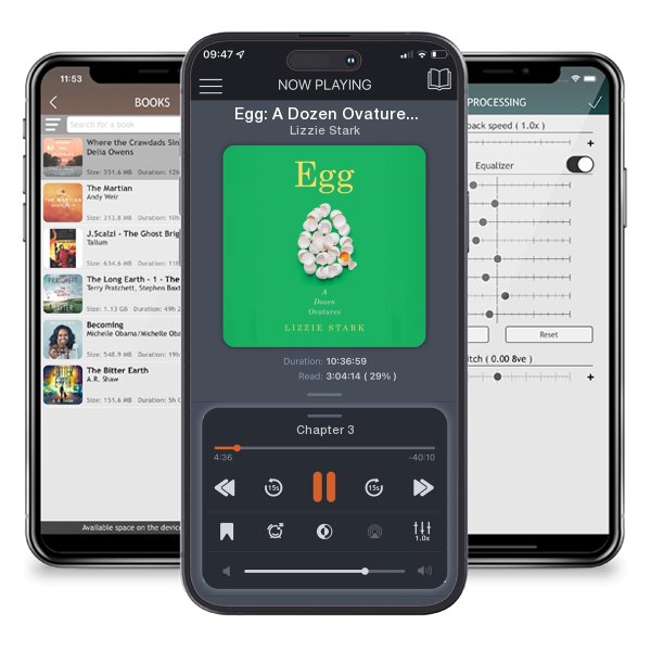 Download fo free audiobook Egg: A Dozen Ovatures by Lizzie Stark and listen anywhere on your iOS devices in the ListenBook app.