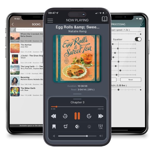Download fo free audiobook Egg Rolls & Sweet Tea: Asian Inspired, Southern Style by Natalie Keng and listen anywhere on your iOS devices in the ListenBook app.