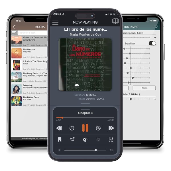 Descargar audiolibro gratis El libro de los numeros. Todo lo que quiere saber del 0 al 100 by María Montes de Oca y escuchar en cualquier lugar en sus dispositivos iOS en la aplicación ListenBook.