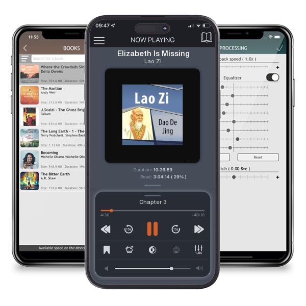 Download fo free audiobook Elizabeth Is Missing by Lao Zi and listen anywhere on your iOS devices in the ListenBook app.