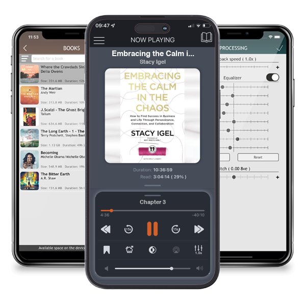 Download fo free audiobook Embracing the Calm in the Chaos: How to Find Success in Business and Life Through Perseverance, Connection, and Collaboration by Stacy Igel and listen anywhere on your iOS devices in the ListenBook app.