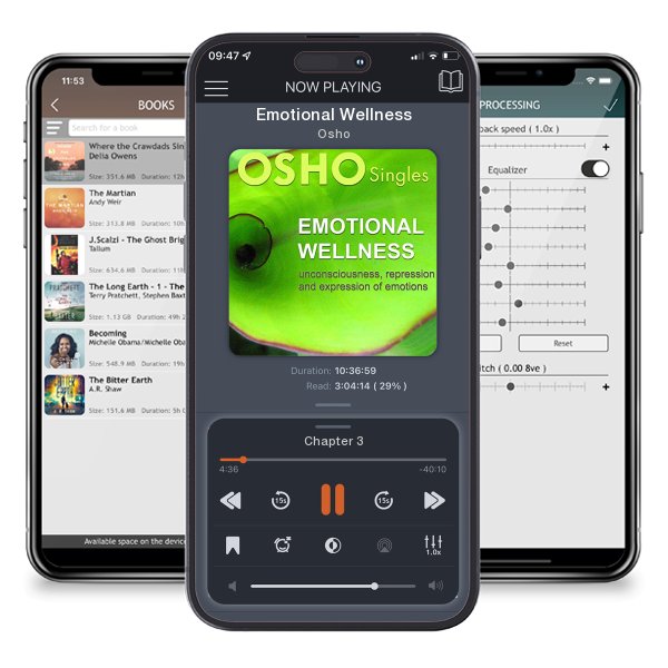 Download fo free audiobook Emotional Wellness by Osho and listen anywhere on your iOS devices in the ListenBook app.