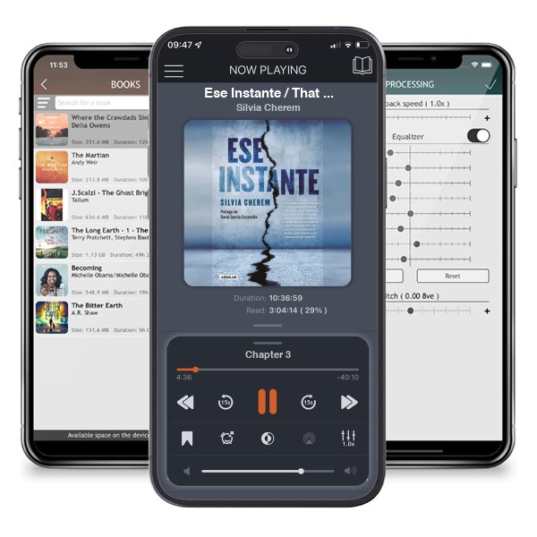 Descargar audiolibro gratis Ese Instante / That Instant by Silvia Cherem y escuchar en cualquier lugar en sus dispositivos iOS en la aplicación ListenBook.