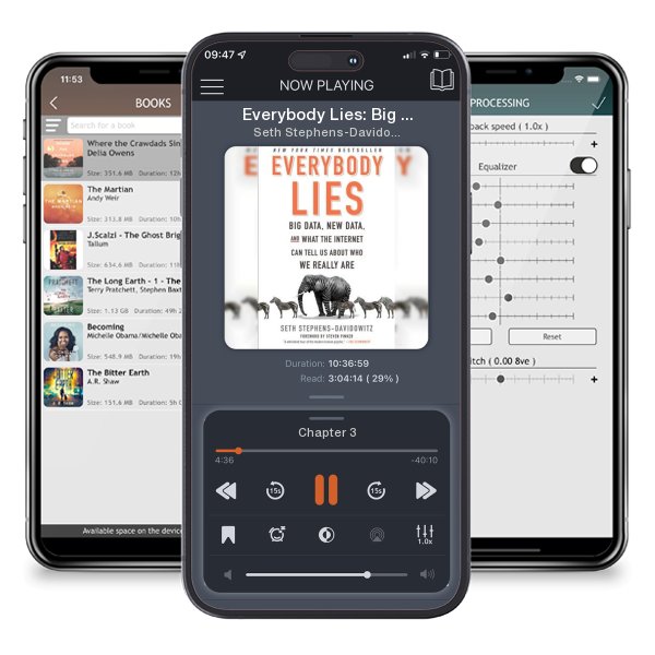 Download fo free audiobook Everybody Lies: Big Data, New Data, and What the Internet Can... by Seth Stephens-Davidowitz and listen anywhere on your iOS devices in the ListenBook app.