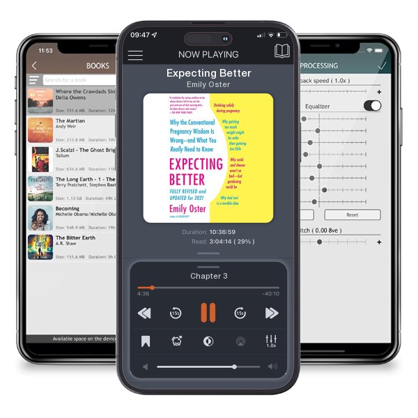 Download fo free audiobook Expecting Better by Emily Oster and listen anywhere on your iOS devices in the ListenBook app.