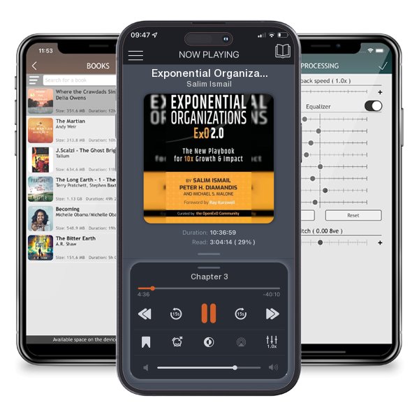 Download fo free audiobook Exponential Organizations 2.0: The New Playbook for 10x Growth and Impact by Salim Ismail and listen anywhere on your iOS devices in the ListenBook app.