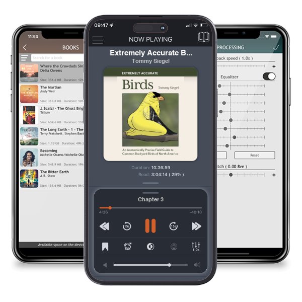 Download fo free audiobook Extremely Accurate Birds: An Anatomically Precise Field Guide to Common Backyard Birds of North America by Tommy Siegel and listen anywhere on your iOS devices in the ListenBook app.