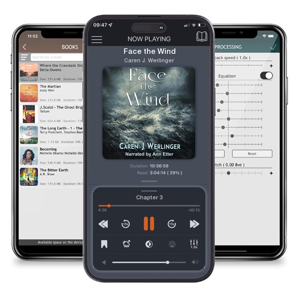 Download fo free audiobook Face the Wind by Caren J. Werlinger and listen anywhere on your iOS devices in the ListenBook app.