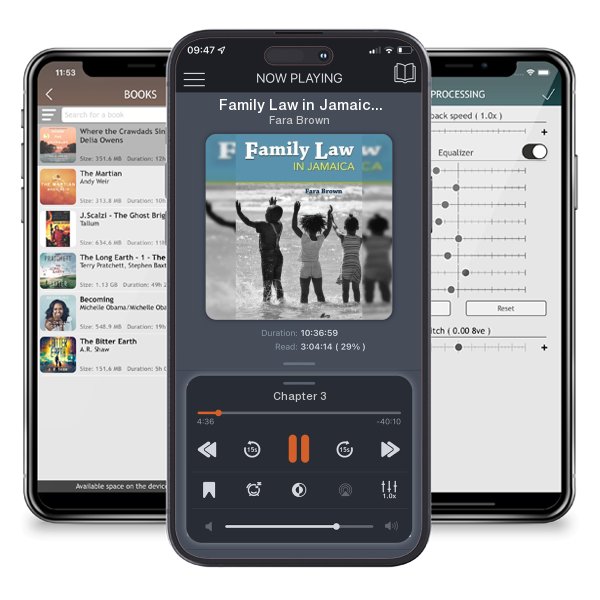 Download fo free audiobook Family Law in Jamaica by Fara Brown and listen anywhere on your iOS devices in the ListenBook app.