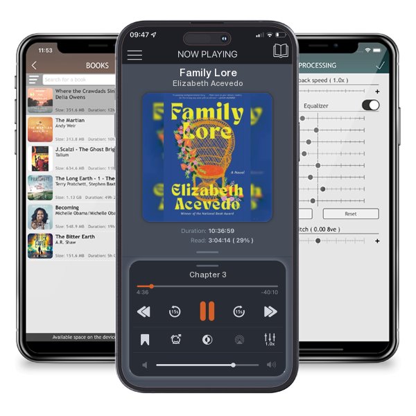 Download fo free audiobook Family Lore by Elizabeth Acevedo and listen anywhere on your iOS devices in the ListenBook app.