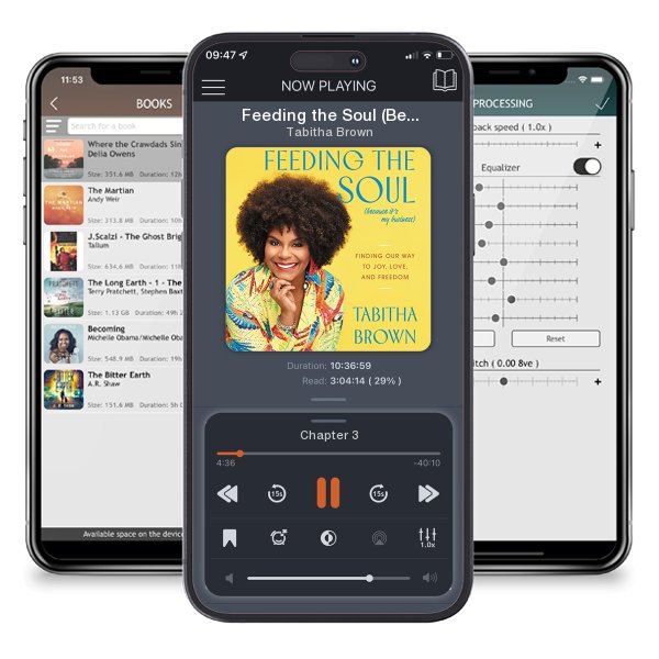Download fo free audiobook Feeding the Soul (Because It's My Business) by Tabitha Brown and listen anywhere on your iOS devices in the ListenBook app.