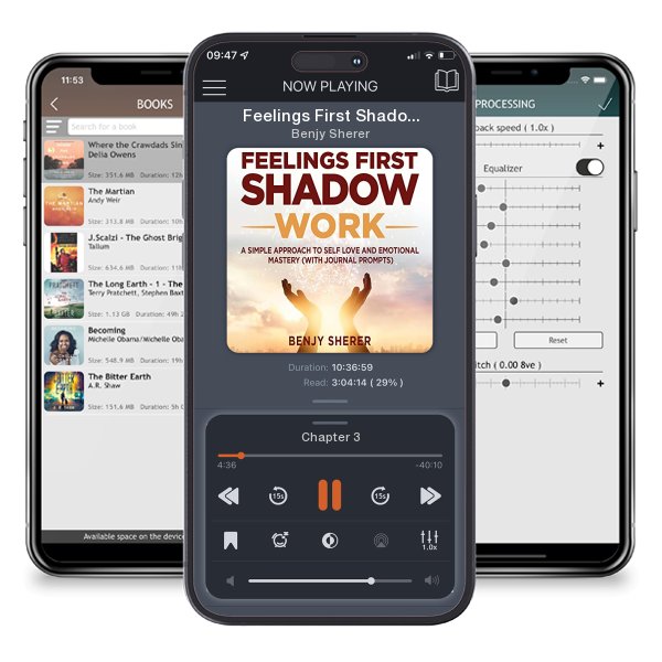 Download fo free audiobook Feelings First Shadow Work by Benjy Sherer and listen anywhere on your iOS devices in the ListenBook app.