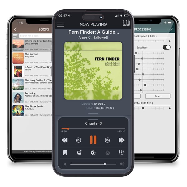 Download fo free audiobook Fern Finder: A Guide to Native Ferns of Central and Northeastern United States and Eastern Canada (Nature Study Guides) by Anne C. Hallowell and listen anywhere on your iOS devices in the ListenBook app.