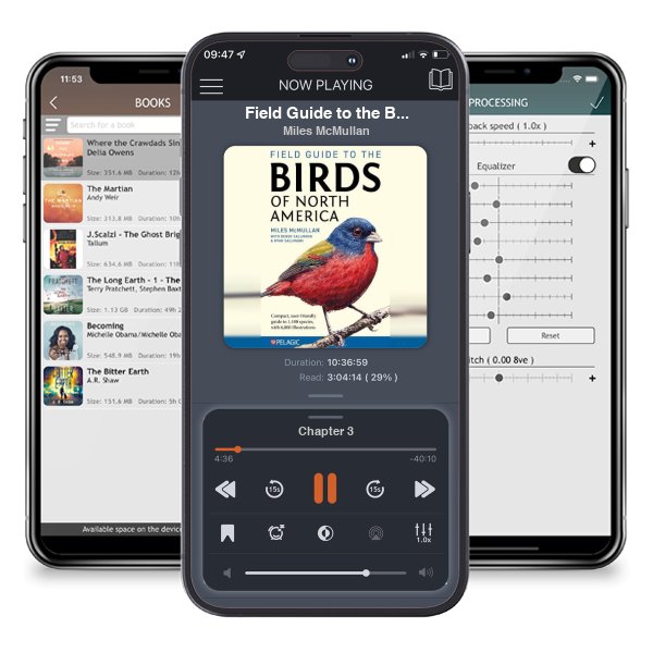 Download fo free audiobook Field Guide to the Birds of North America - Pelagic Identification Guides by Miles McMullan and listen anywhere on your iOS devices in the ListenBook app.