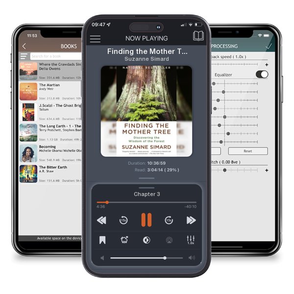 Download fo free audiobook Finding the Mother Tree: Discovering the Wisdom of the Forest by Suzanne Simard and listen anywhere on your iOS devices in the ListenBook app.