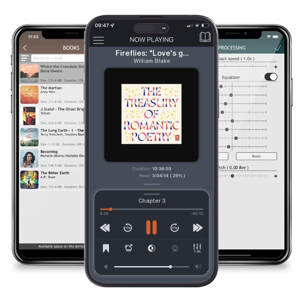 Download fo free audiobook Fireflies: 