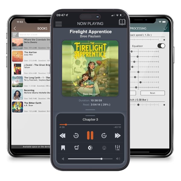 Download fo free audiobook Firelight Apprentice by Bree Paulsen and listen anywhere on your iOS devices in the ListenBook app.