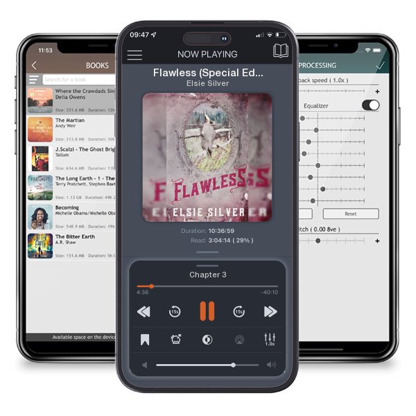 Download fo free audiobook Flawless (Special Edition) by Elsie Silver and listen anywhere on your iOS devices in the ListenBook app.