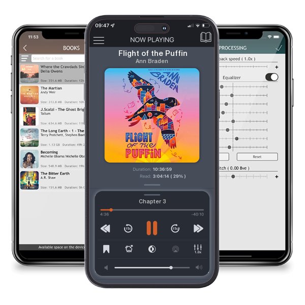 Download fo free audiobook Flight of the Puffin by Ann Braden and listen anywhere on your iOS devices in the ListenBook app.