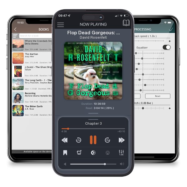 Download fo free audiobook Flop Dead Gorgeous: An Andy Carpenter Mystery by David Rosenfelt and listen anywhere on your iOS devices in the ListenBook app.